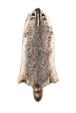 Dakotaline® Tanned Badger Pelt | Premium Fur Pelt for Home, Lodge & Cabin Décor