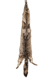 Dakotaline® Tanned Coyote Pelt | Premium Fur Pelt for Home, Lodge & Cabin Décor