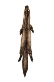 Dakotaline® Tanned Marten Pelt | Premium Fur Pelt for Home, Lodge & Cabin Décor