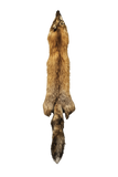 Dakotaline® Tanned Red Fox Pelt | Premium Fur Pelt for Home, Lodge & Cabin Décor