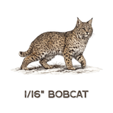 Bobcat Snare | Dakotaline®