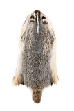 Dakotaline® Tanned Badger Pelt | Premium Fur Pelt for Home, Lodge & Cabin Décor
