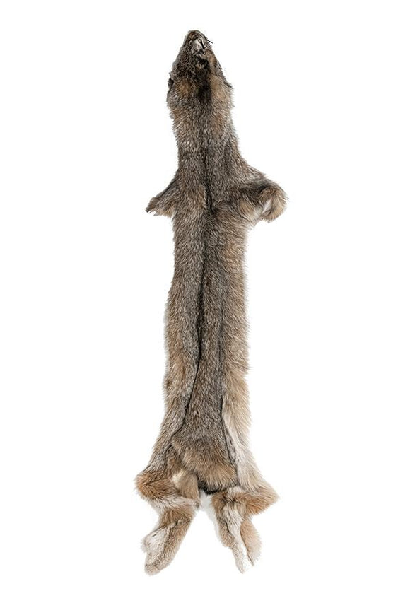 LYNX