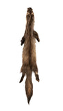Dakotaline® Tanned Marten Pelt | Premium Fur Pelt for Home, Lodge & Cabin Décor